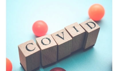 新型コロナウイルス感染症（COVID-19）を含むウイルス感染症と抗ウイルス薬の作用の特徴（白木公康）